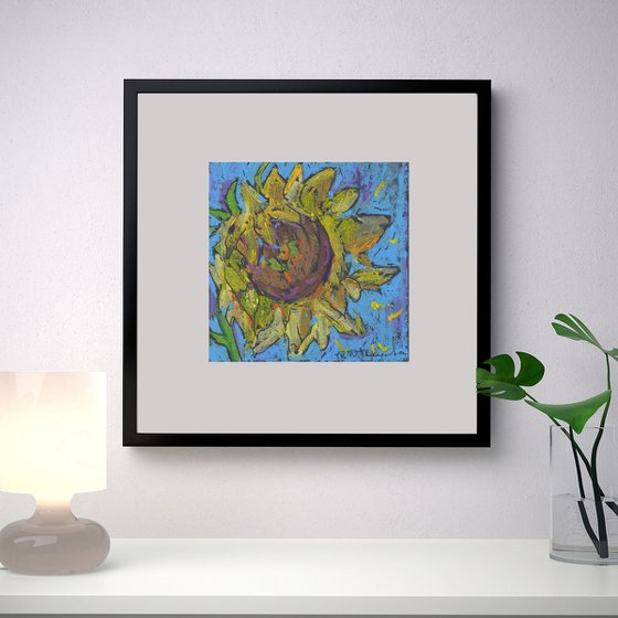 Sunflower on the blue