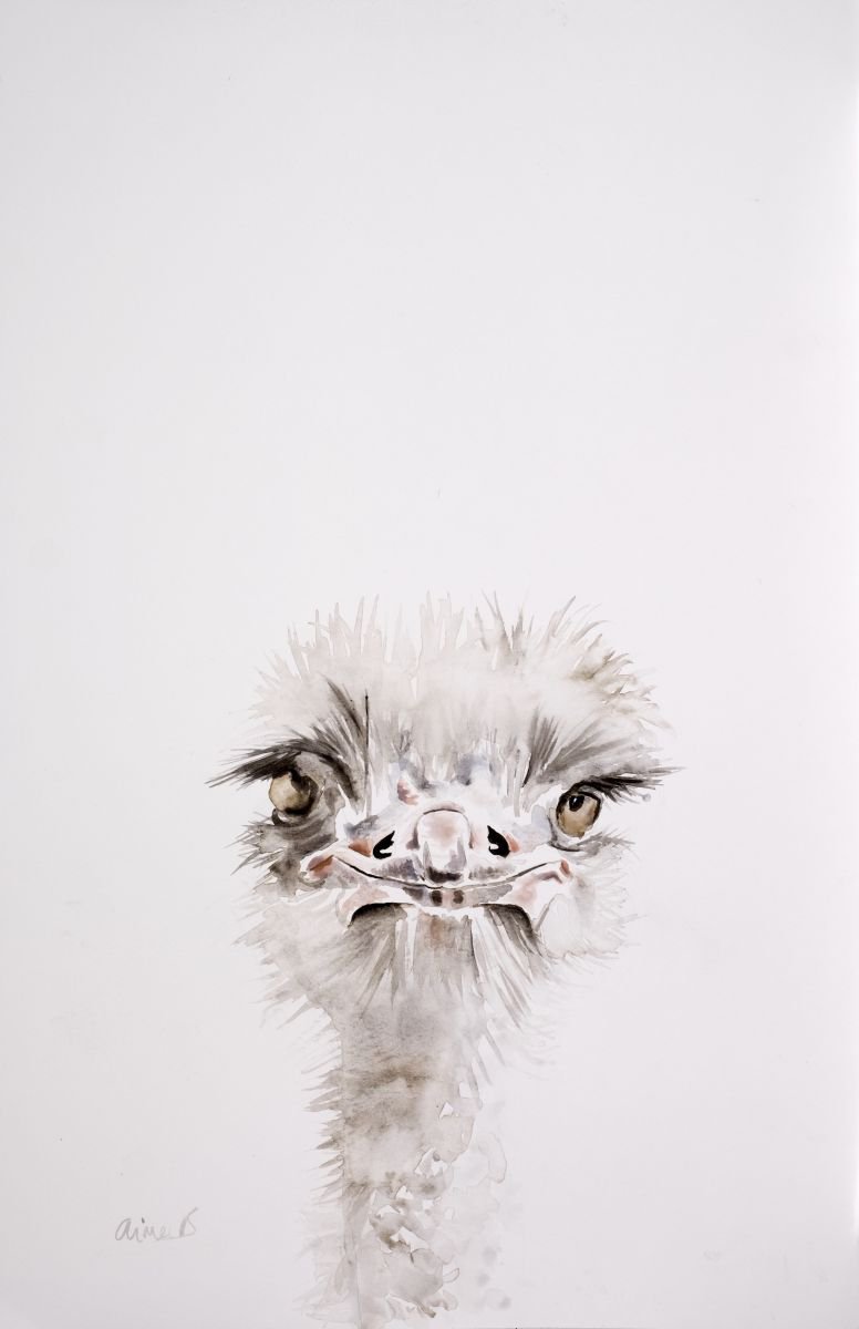 Ostrich painting - Good Morning - � by Aimee Del Valle