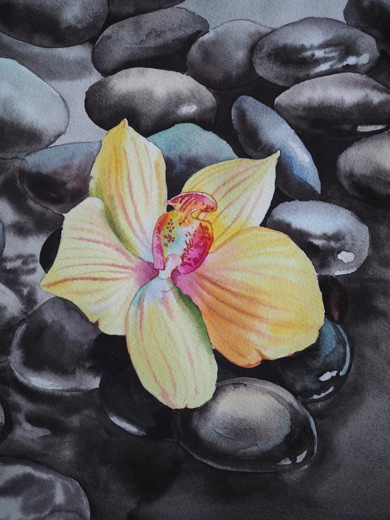 Diptych "Zen spa" - orchid and seastones - original watercolor grey, yellow and pink