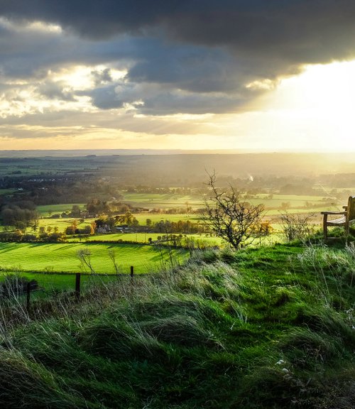 Martinsell Hill, Wiltshire by Russ Witherington