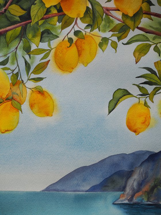 Mediterranean landscape
