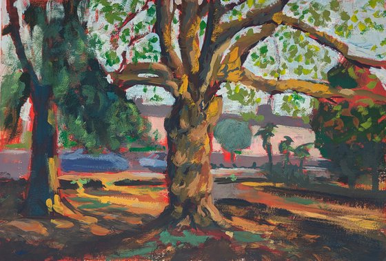 Thorn Park Study