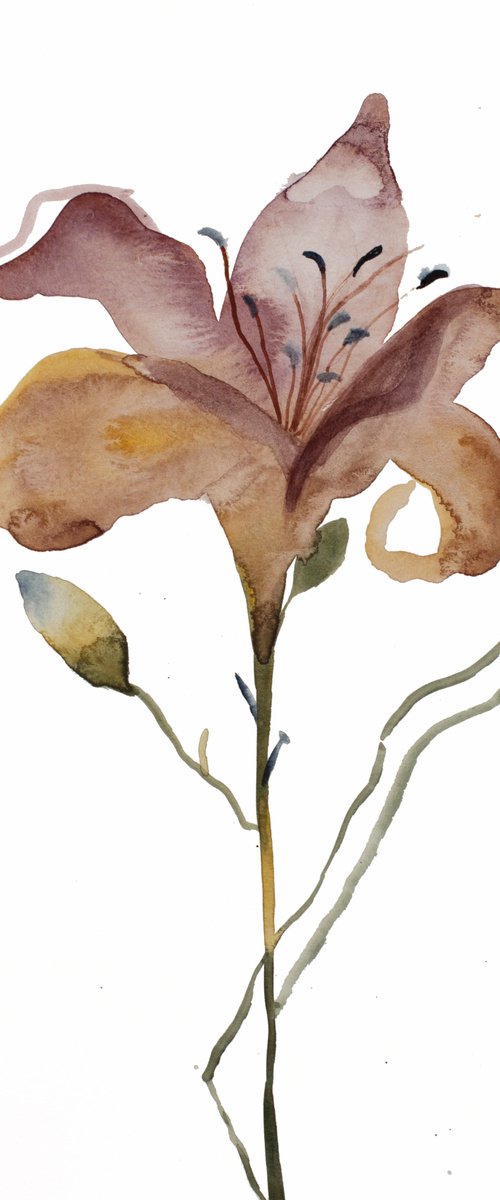Lily No. 7 by Elizabeth Becker