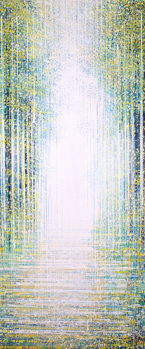 White Light Through Trees by Marc Todd