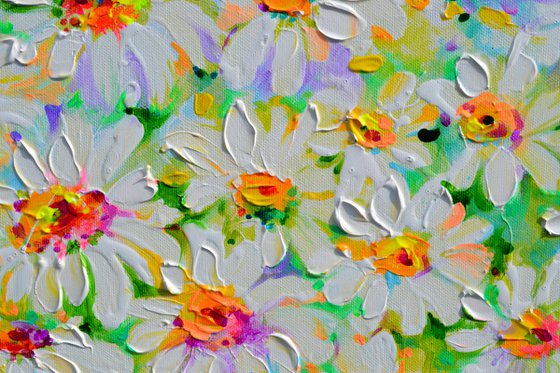 White Daisy Daisies Field