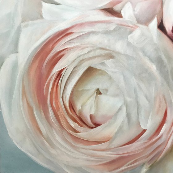 Square oil painting with light Ranunculus "Awakening" 80 * 80 cm