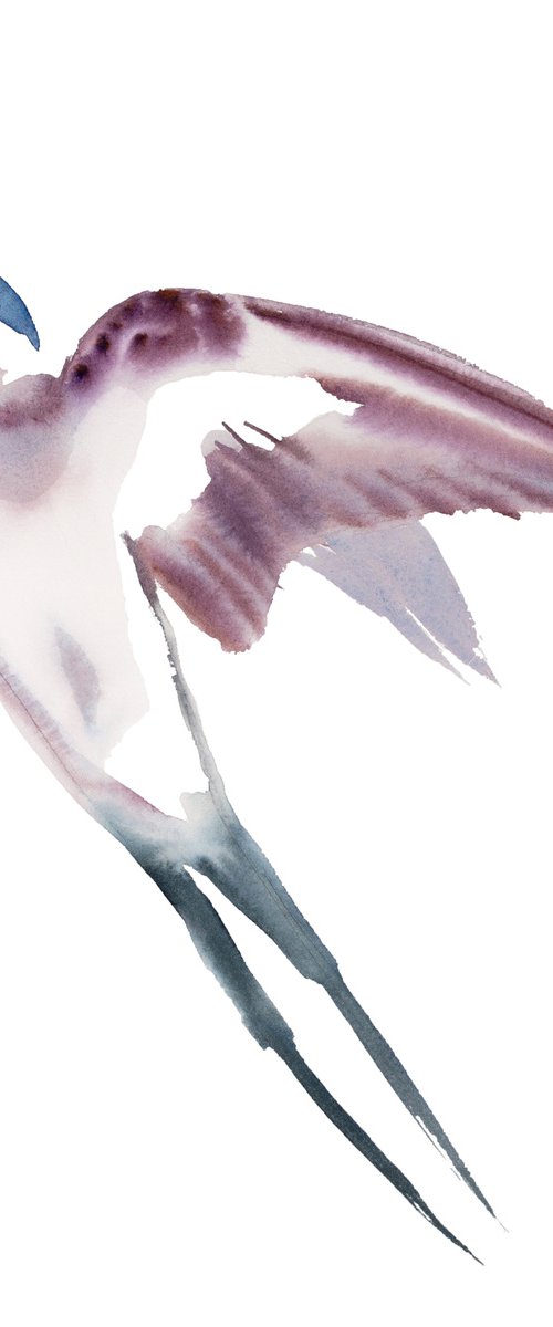 Swallow No. 47 by Elizabeth Becker