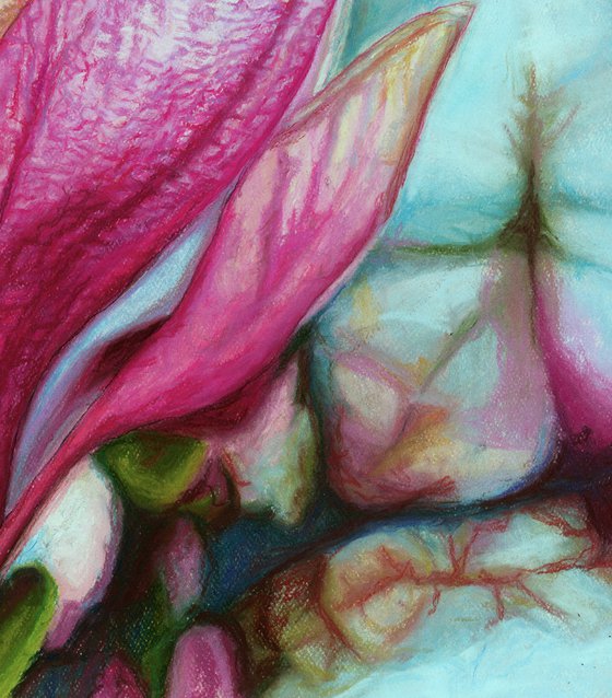 Original Pink Magnolia Flower Drawing | Luminous Magnolia Grandiflora | Romantic Floral Home Decor | Soft Pastels Art