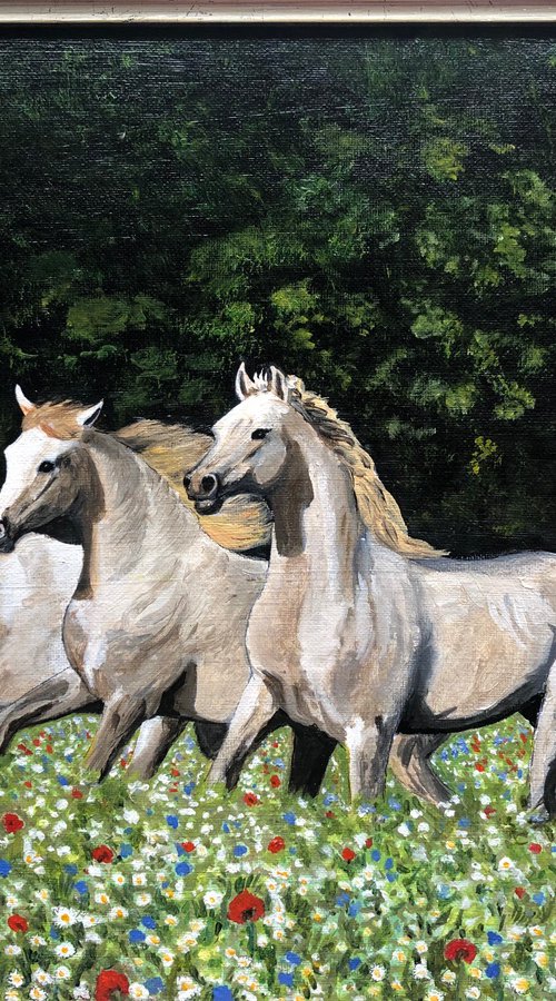 WHITE HORSES IN MEADOW by Margaret Riordan