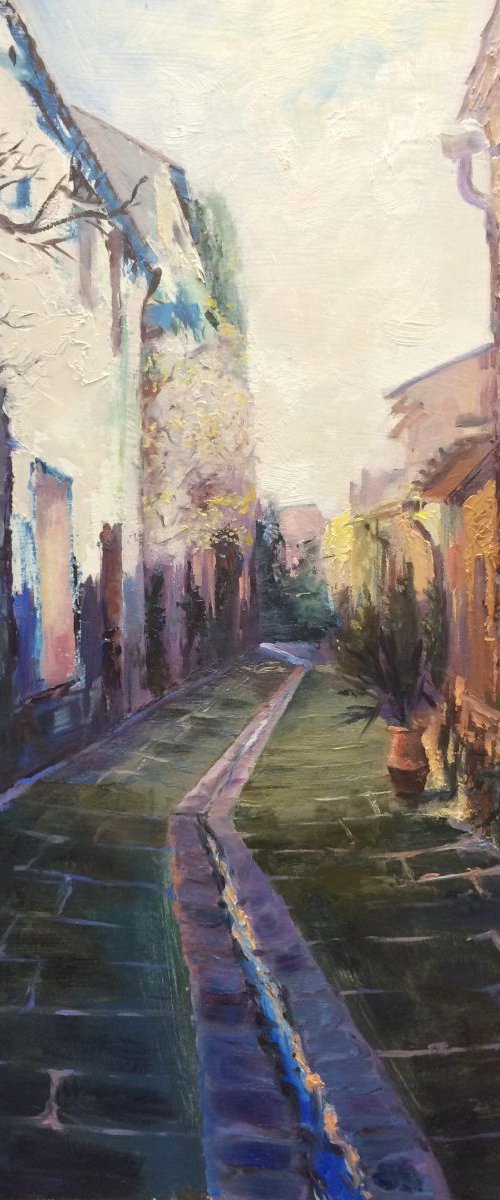 Grimaud in Winter by Irina Sergeyeva