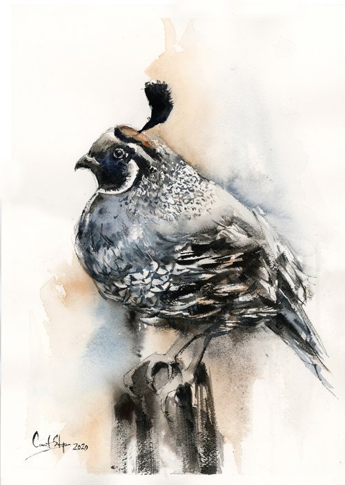 The Pheasant by Sophie Rodionov