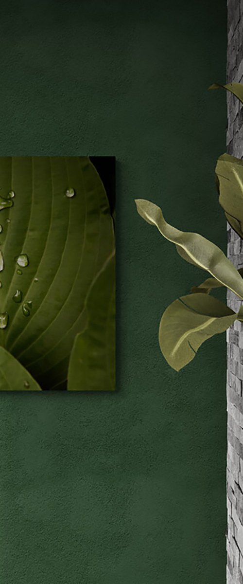 After Rain by Kristine Okuneva