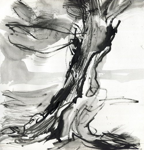 Tree Trunks 1 by Elizabeth Anne Fox