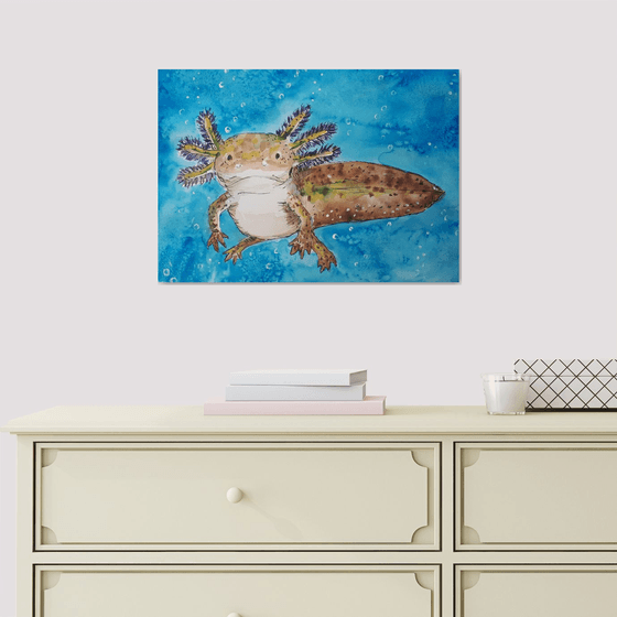 "Axolotl"