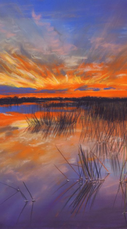 Sunset by Danguole Serstinskaja