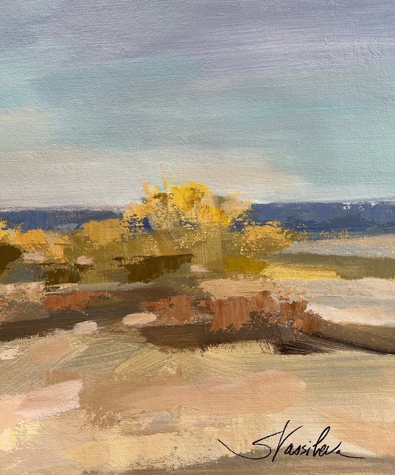 Sunshine Dunes