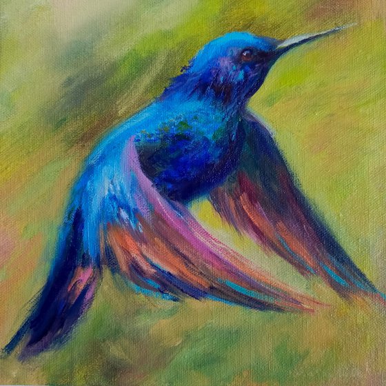 Hummingbird