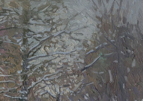 Boulevard in winter