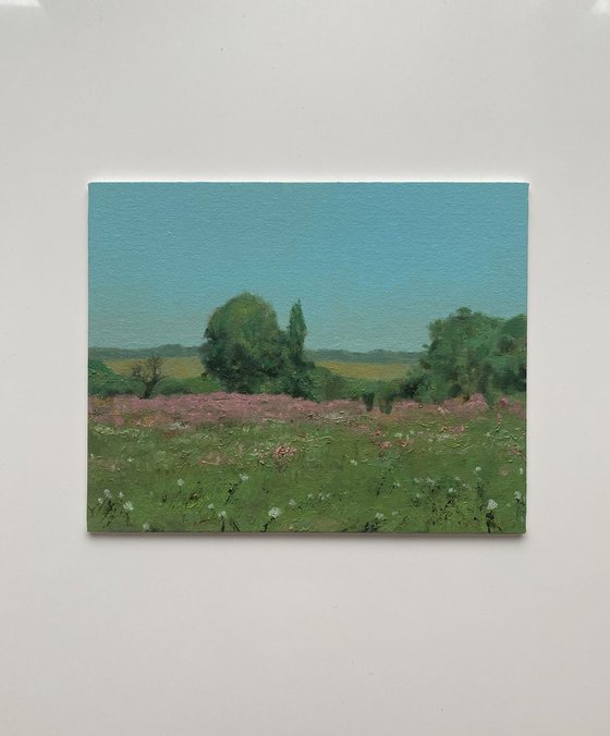 Wildflower meadow
