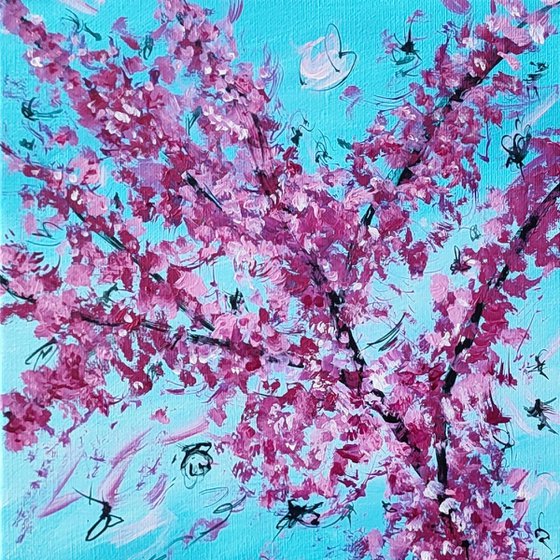 Les fleurs du cerisier 2