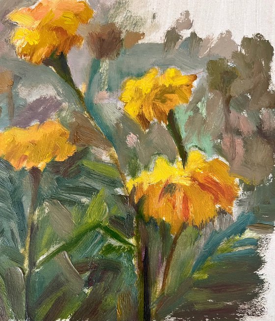 Marigolds flowers original oil artwork from Ukraine