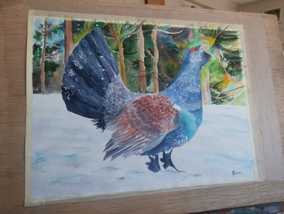 Impressionistic Animal Watercolour By Zoran Mihajlovic Muza, 17 X 13", Wood Grouse, Original Artwork