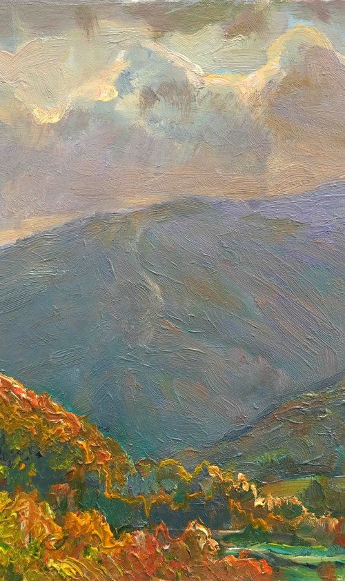 Evening Mood in the Mountain Valley by Aleksandr Dubrovskyy