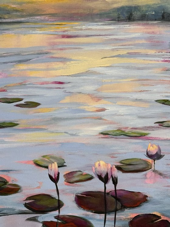 Water Lilies Land 1