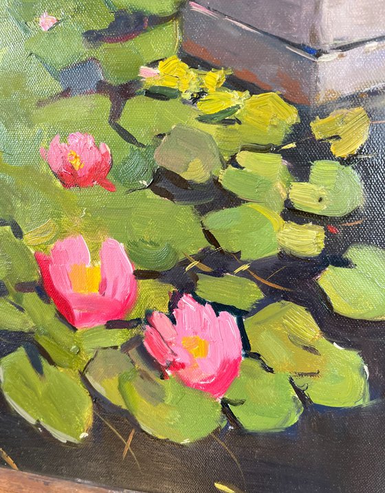 Small Pond with Water Lilies