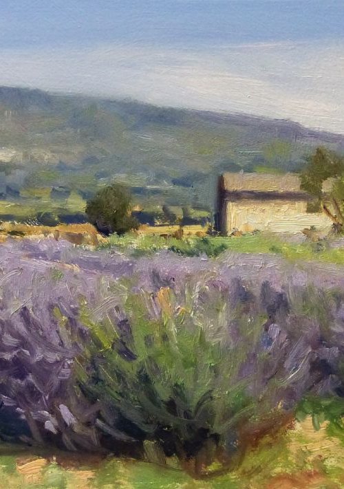 Cabanon et Lavandes vers Sault by Pascal Giroud