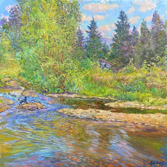 Dog Playing in the River