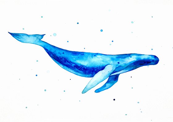 Whale, watercolor