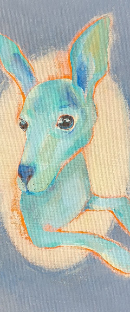 Baby kangaroo portrait by Ksenia June