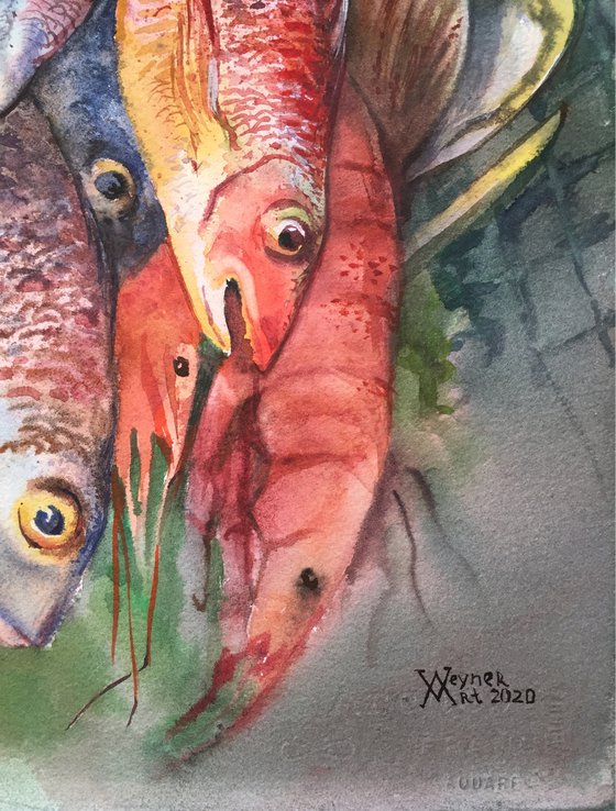 Dorado and perches. Watercolor fish.