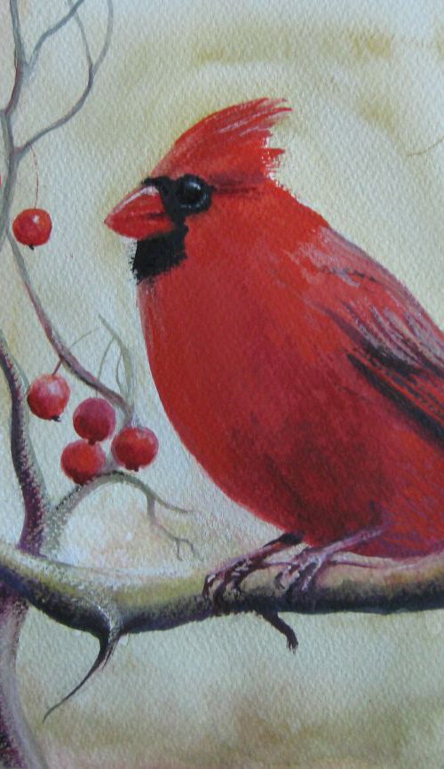 Red bird by Elena Oleniuc