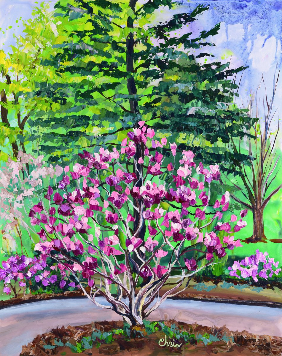 Anne Magnolia Tree by Christina M Plichta
