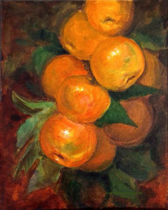 Still Life of a branch of Mandarin Oranges