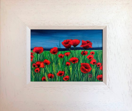 Poppy Field 2