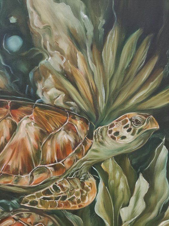 Turtles