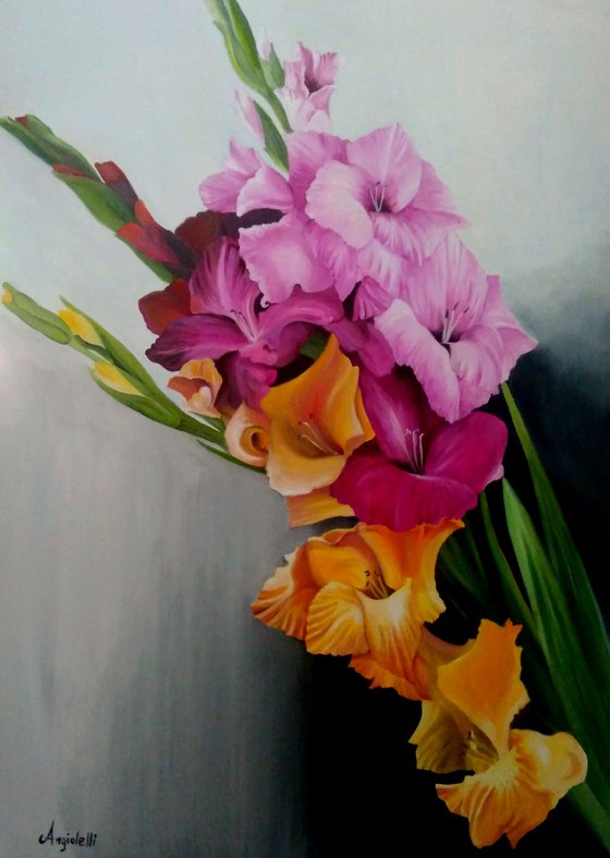 Gladioli