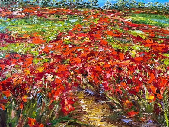 Path in the Field of Poppies