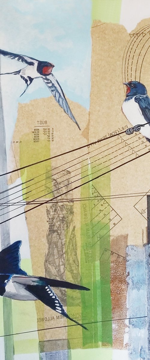 Bringing back summer (swallows painting) by Carolynne Coulson