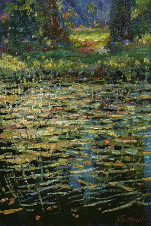 Overgrown Pond - sunny summer painting by Nikolay Dmitriev