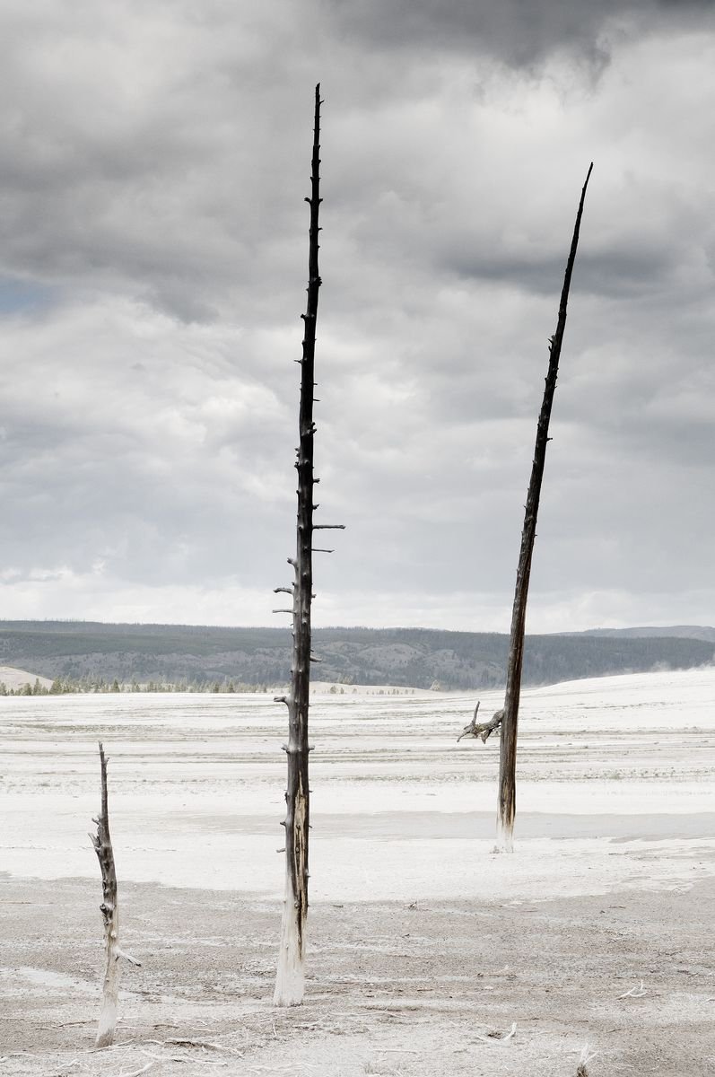 Photorealistic Photograph , Desolation By Tom Hanslien, 53 X 80, Artwork For Sale On Artfinder