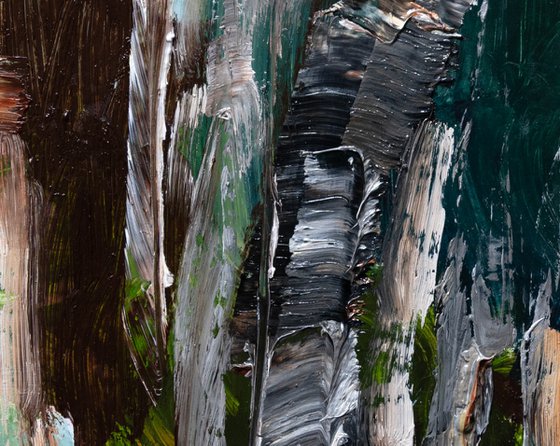 Winter Birch Trees