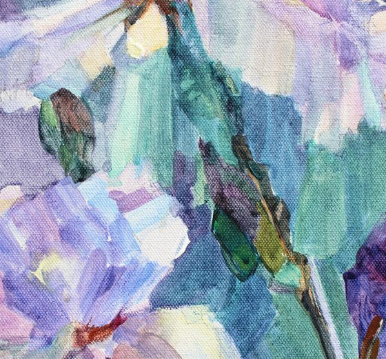 Irises from my garden