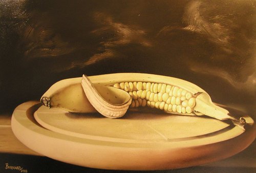 Amazing Banana by Bernard Myburgh