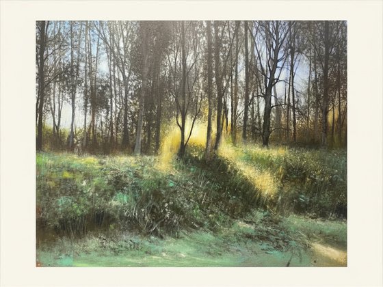 'Catch The Light'