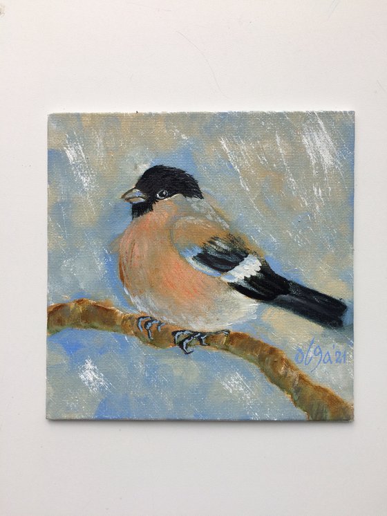Bird oil painting - Bullfinch female small canvas art - Christmas gift for bird lover (2021)