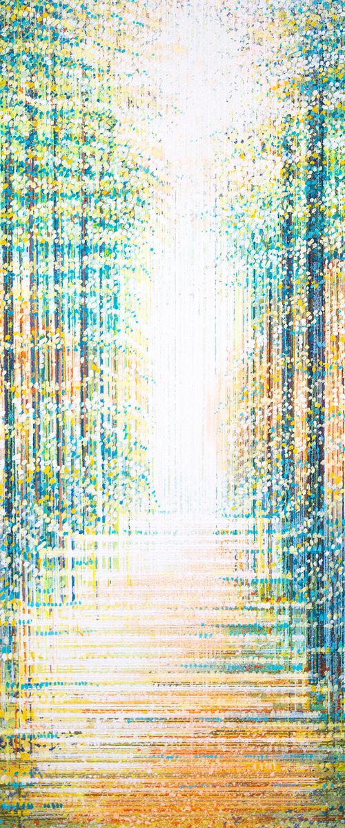 Light Dancing Through Forest At Sunset by Marc Todd